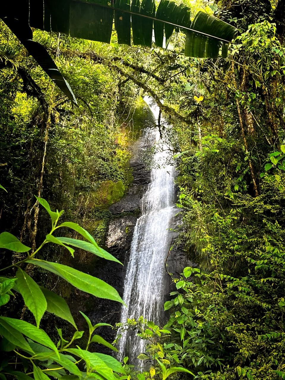 Cascada Caída del Dragón