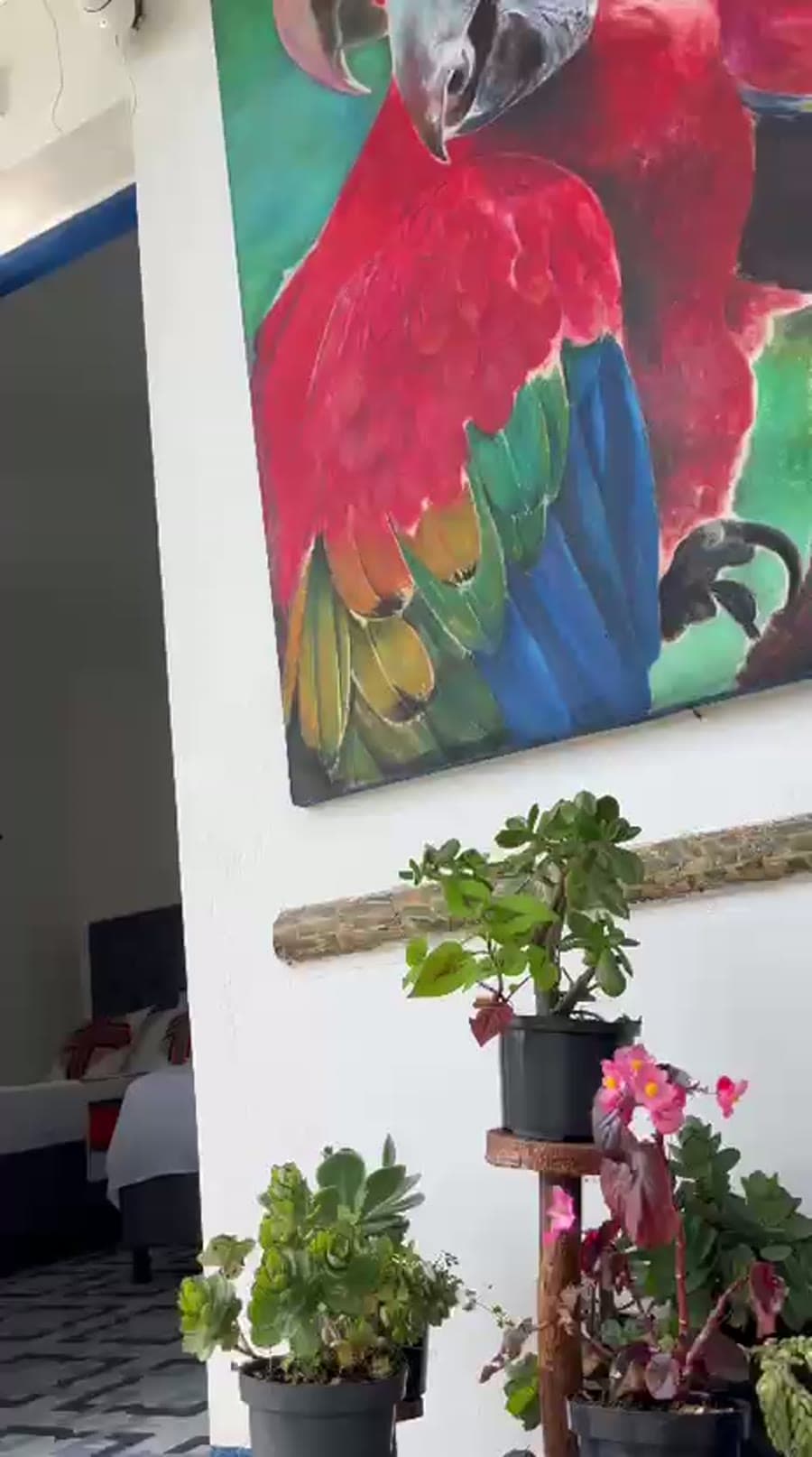 Publicación de Instagram de Vista Farallones